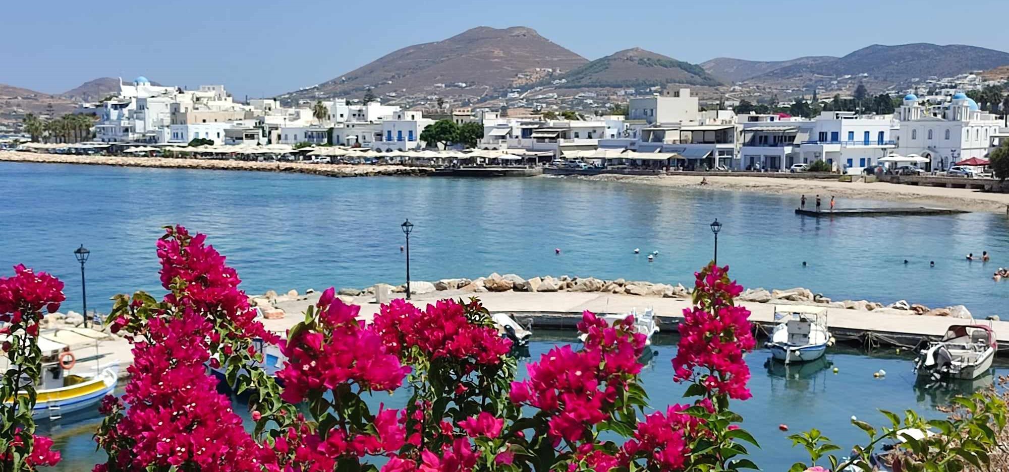 Μετάθεση ημερομηνίας συνεδρίασης της Δημοτικής Κοινότητας Πάρου στις 19-12-2024