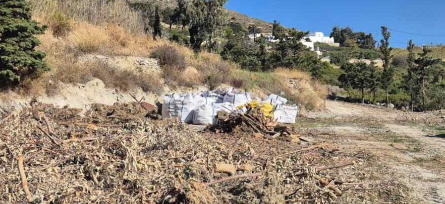 Δωρεάν Διάθεση Ξυλείας σε Δικαιούχους Δημότες